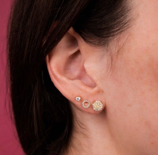 Wren Gold Stud Earring Set